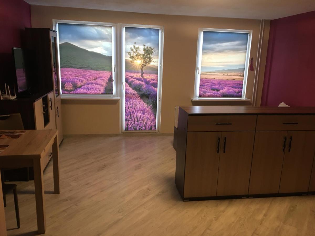 שצ'קלארסקה פוראובה Apartament 6 Osobowy מראה חיצוני תמונה