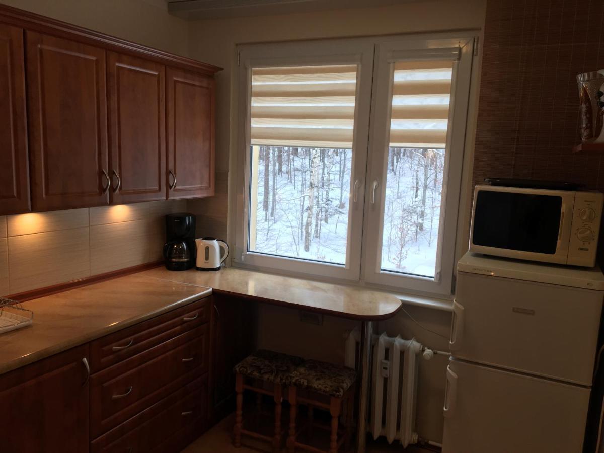 שצ'קלארסקה פוראובה Apartament 6 Osobowy מראה חיצוני תמונה