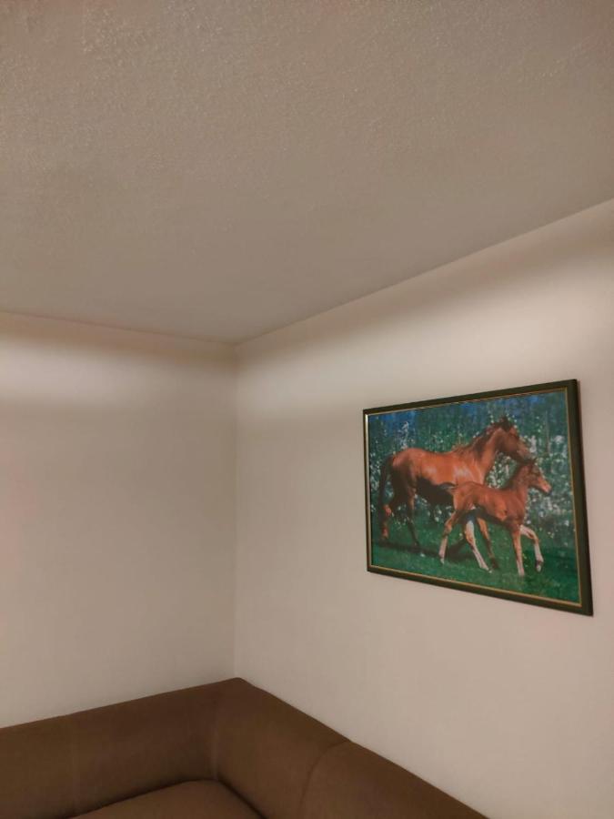 שצ'קלארסקה פוראובה Apartament 6 Osobowy מראה חיצוני תמונה